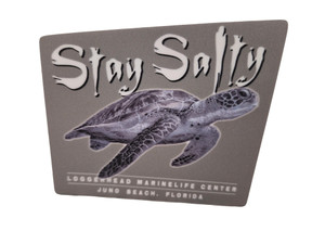 Turtle Alikness - Stay Salty