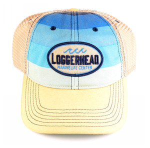 Blue Stripe Trucker Hat