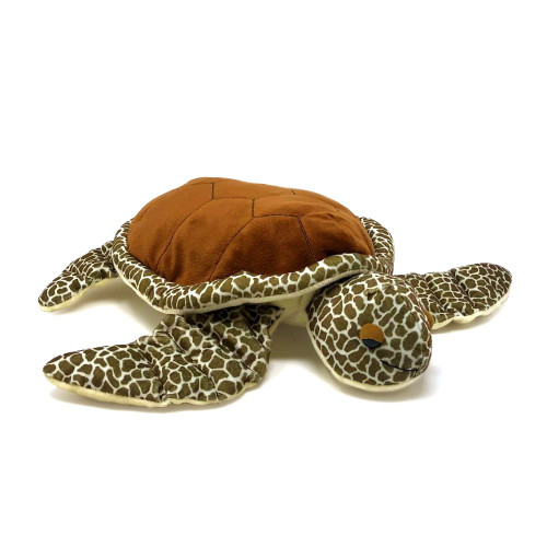 Tilli Turtle