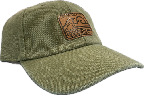 Pillow Talk Canvas Cap