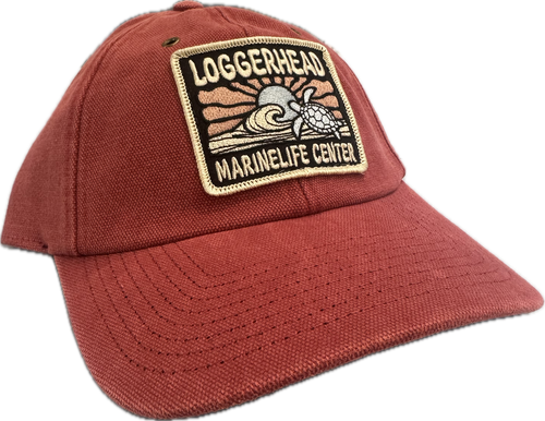 Cliffhanger Canvas Cap