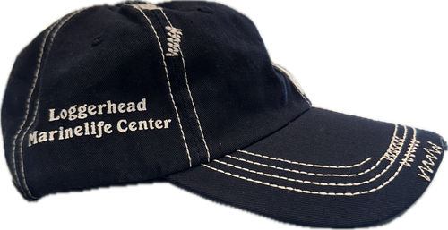 Grupo Navy Cotton Cap