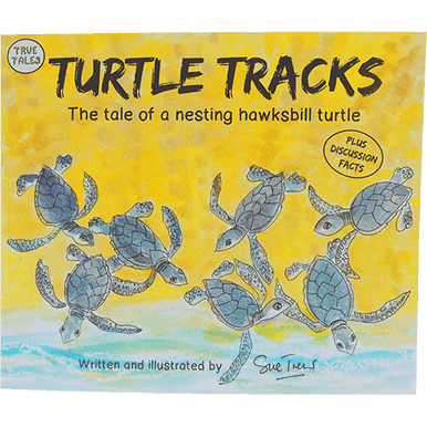 Turtle Tracks: Storybook – Turtle Tracks Family