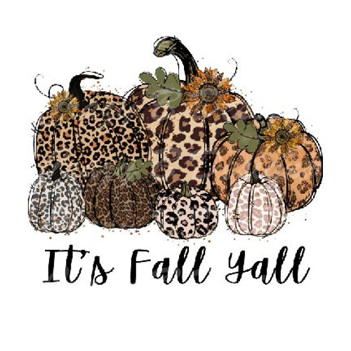 It's Fall Y'all Pumpkins Transfer