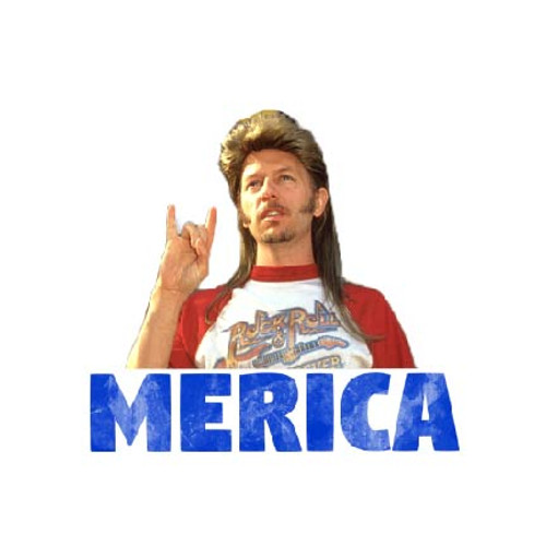 Joe Dirt Merica Transfer