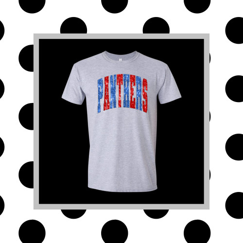 Panthers Faux Sequin Tee/Sweatshirt
