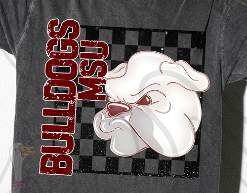 College Mascot Checkered Tee/Transfer