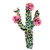 Cactus Crown Transfer