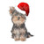 Yorkie With Santa Hat Transfers