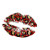 Red and gold glitter leopard lips Transfer