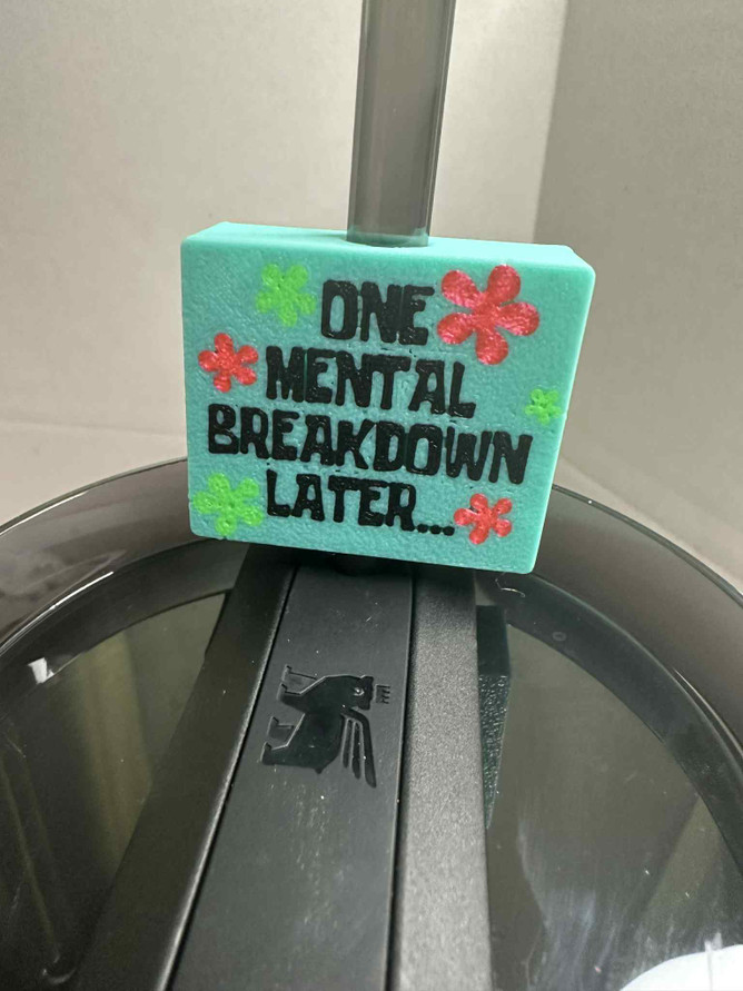 Straw Charm One Mental Breakdown Later