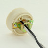 GU24 LED/CFL Lamp Socket with 1/8ips. Female Hickey and 60in. Leads