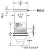 Black Finish E-12 Threaded Socket with Shade Ring and Porcelain Interior and Captive Ring