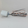 E-26 Grounded Porcelain Socket with 1/8ips Cap and 48in Long 200deg Teflon Leads.