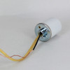 E-26 Porcelain Socket with 1/8ips. Cap and 10ft. Gold and Ground Wire Leads
