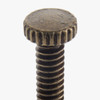 6/32 Thread - 1/2in. Long - Steel Thumb Screw - Antique Brass Finish