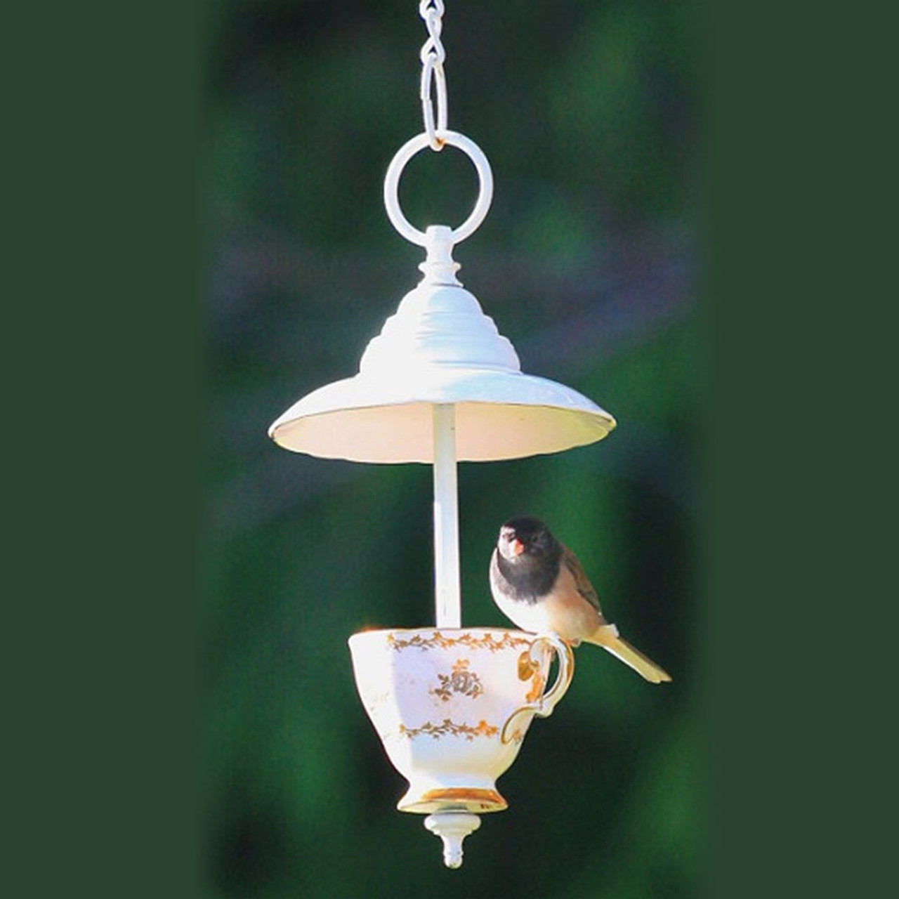 Tea Cup Bird Feeder Kit