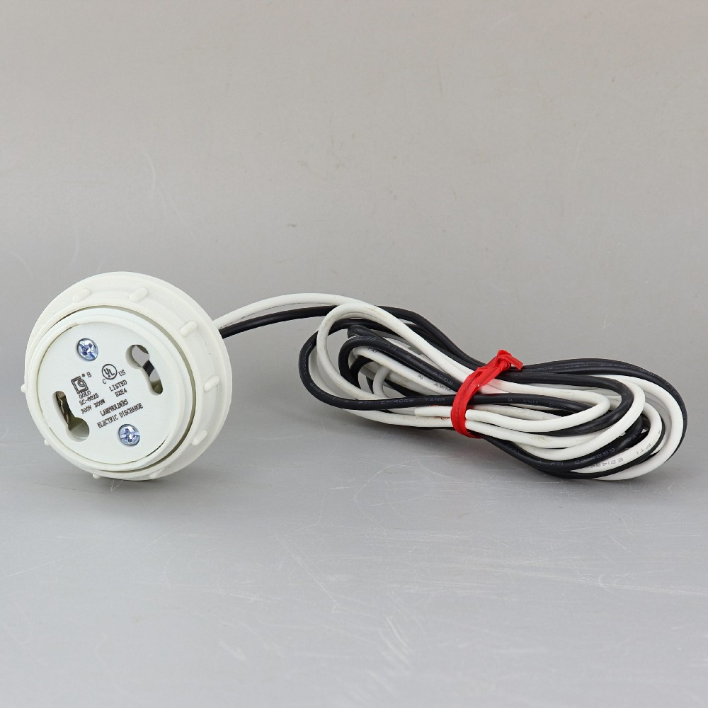 GU24 CFL Lamp Threaded Body and Ring Socket with 1/8ips. Female