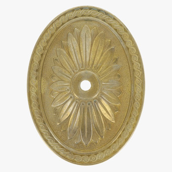 Large Starburst Design Cast Brass Backplate