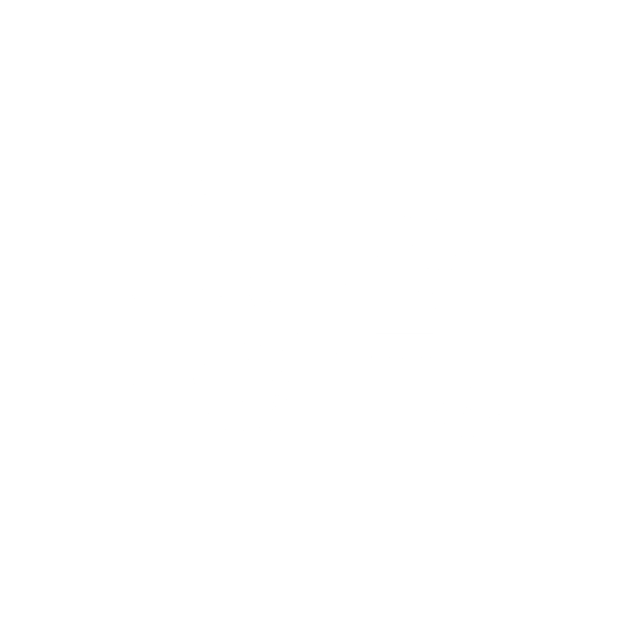 Petrol Lawn Mowers