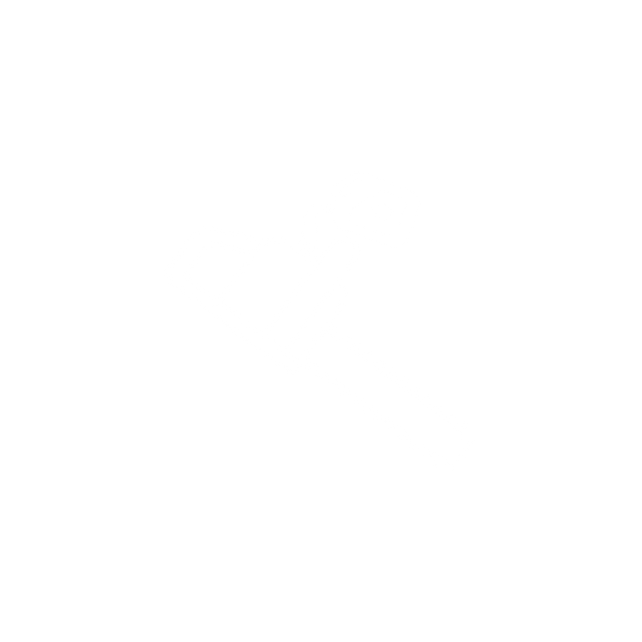 Petrol Chainsaws
