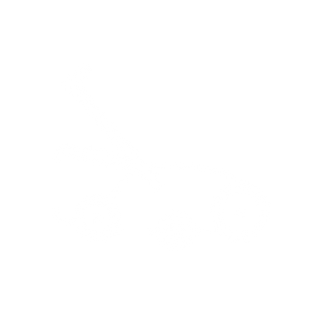 Lawn, Yard & Garden Sweepers