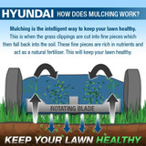 How does mulching work