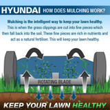 How does mulching work?