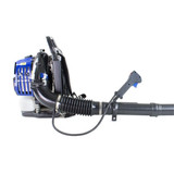 petrol leaf blower