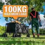 Hyundai 26cc 600mm Petrol Hedge Trimmer Cutter, Easy-Start & Lightweight 2-stroke & Garden Trolley on Wheels, 100kg Load with Brakes | HYHT2600X+GTW260 Hyundai 26cc 600mm Petrol Hedge Trimmer Cutter, Easy-Start & Lightweight 2-stroke & Garden Trolley on Wheels, 100kg Load with Brakes | HYHT2600X+GTW260