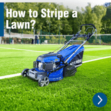 How to Stripe a Lawn? A Guide to That Classic Wimbledon Look