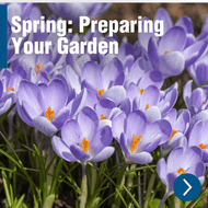 Spring Gardening: Preparing Your Garden for the New Season with Hyundai Power Products