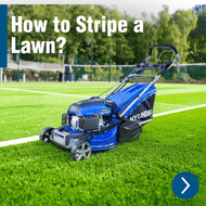 How to Stripe a Lawn? A Guide to That Classic Wimbledon Look