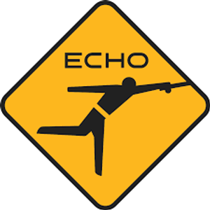 Echo