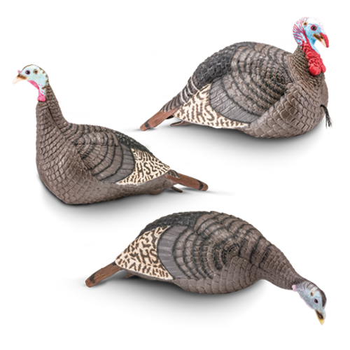 HS Strut Lite, "The Flock" Turkey Decoy Combo HS Strut Lite, "The Flock" Turkey Decoy Combo