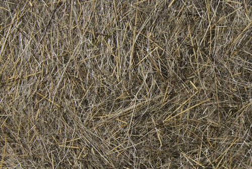 Hareline Dubbin Inc. Hare's Ear Plus Dubbin