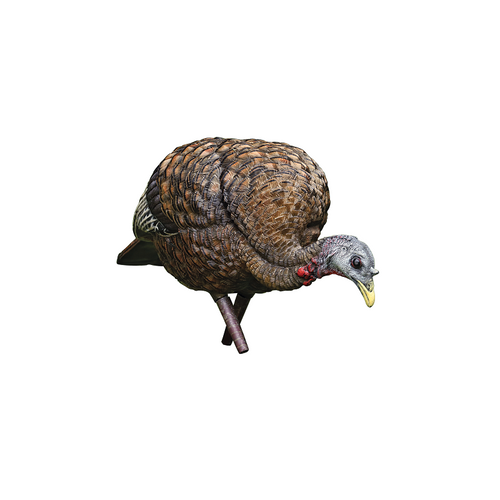 Avian X LCD Feeder Hen Avian X LCD Feeder Hen