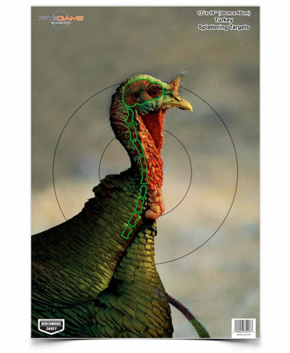 Birchwood Casey Pregame Targets, Turkey, 12" x 18", 8 pk