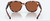 Costa Sunglasses, Salina, Coral Tortoise w/ Green Mirror