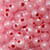Troutbeads Blood Dot Eggs 6 mm, 20 pk,