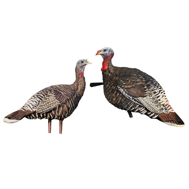 Avian X Jake Lookout Hen Merriam S Combo