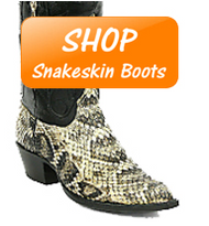 Why you should own a pair of Snake Skin Boots