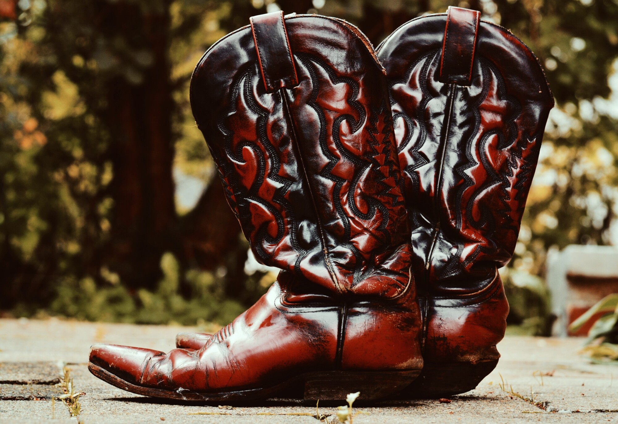 Buy > how to shine cowboy boots > in stock