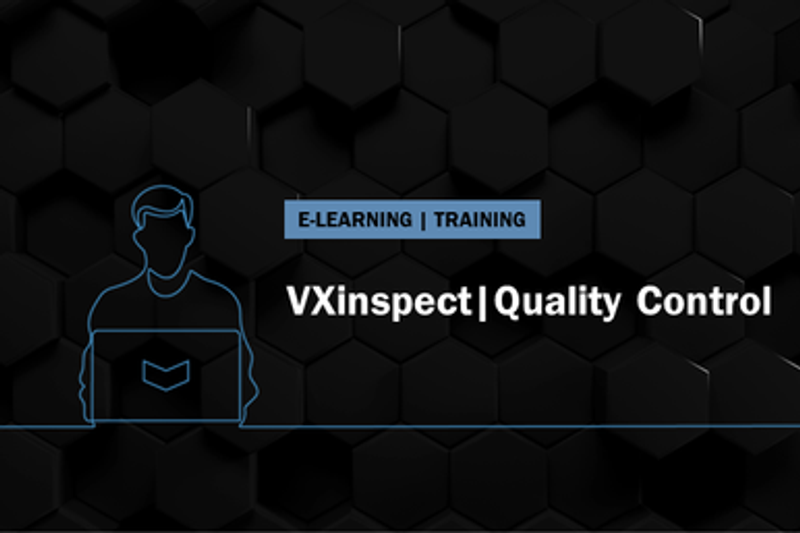E-Learning VXinspect|Bundle