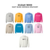  Gildan Dental Hygienist Sweatshirt 