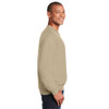 Gilden Sketched Highland Cow Sweatshirt 