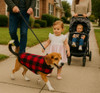  Personalized Plaid Dog Vest Jacket 