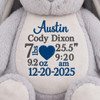 Cubbie Personalized Stuffed Baby Gift Grey Bunny 