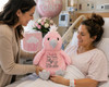 Cubbie Birth Stat Stuffed Bird Plush – Personalized Baby Keepsake 