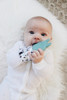 Baby with his Teething Glove
